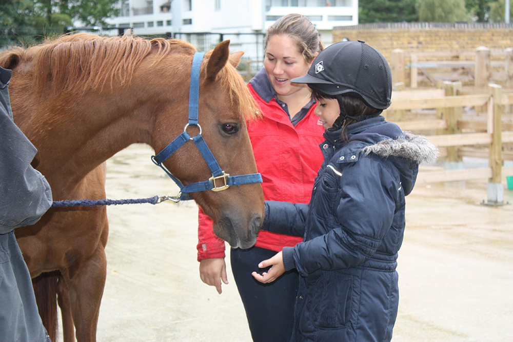 A girl feeding a horse with a riding instructor 