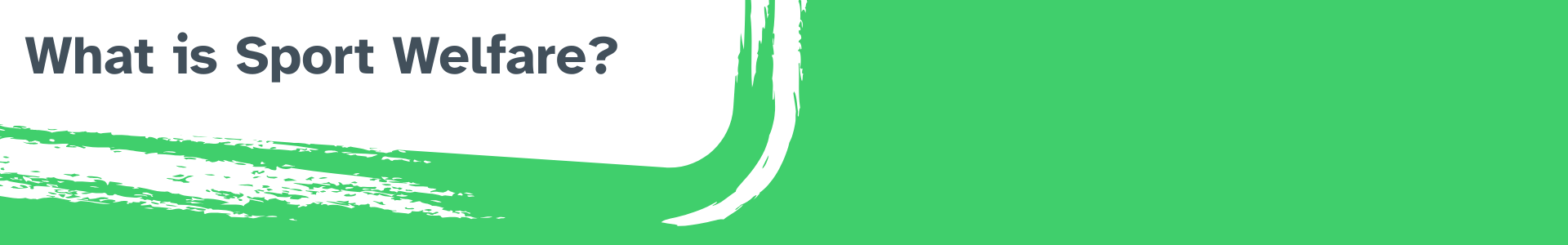 Sport Welfare support title 1